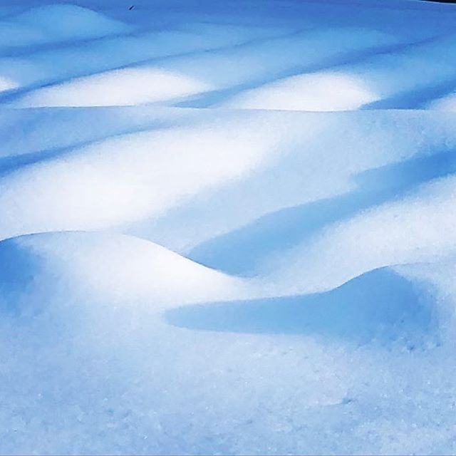フワフワの雪きれいだな。️ 夫のお迎えいく途中、信号待ちで思わずパチリ。田舎に住んでよかったなぁと思える瞬間。雪かきが何だか楽しくて、途中休憩入れて6時間くらいやったら、全身筋肉痛で。。今日はぐっすり眠れそう。。 #雪の絨毯 #フワフワ #銀世界 #芸術 #伊奈町 (Instagram)