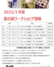 3月ワークショップ