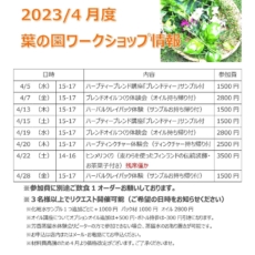 4月ワークショップ予定