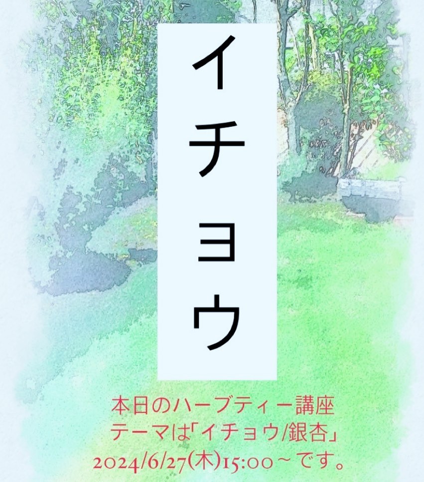 本日15時〜ハーブティー講座です。テーマは「イチョウ」イチョウは日本では食品として見かけたことはあるかと思いますが、ヨーロッパでは医薬品として利用されているそうです。そのため摂取にあたっては注意が必要なこともありますが、成分やその効能をしっておくと、これからの病気予防に大変役立ちます。実際、継続して取り入れているお客様もいらっしゃりその効果を感じていらっしゃるそうです。今日はみなさんでイチョウのことを健康と美容の面からサラッと学んで少し試してといった、楽しい会にしようかなと思っています。飛び入り参加大歓迎です。15時から1時間くらい。参加してみたいなーという方がいたらメッセージください。よろしくお願いします‍♀️#ワークショップ#ハーブティー講座#イチョウ#銀杏 #サプリメント#告知が遅くてすみません‍♀️