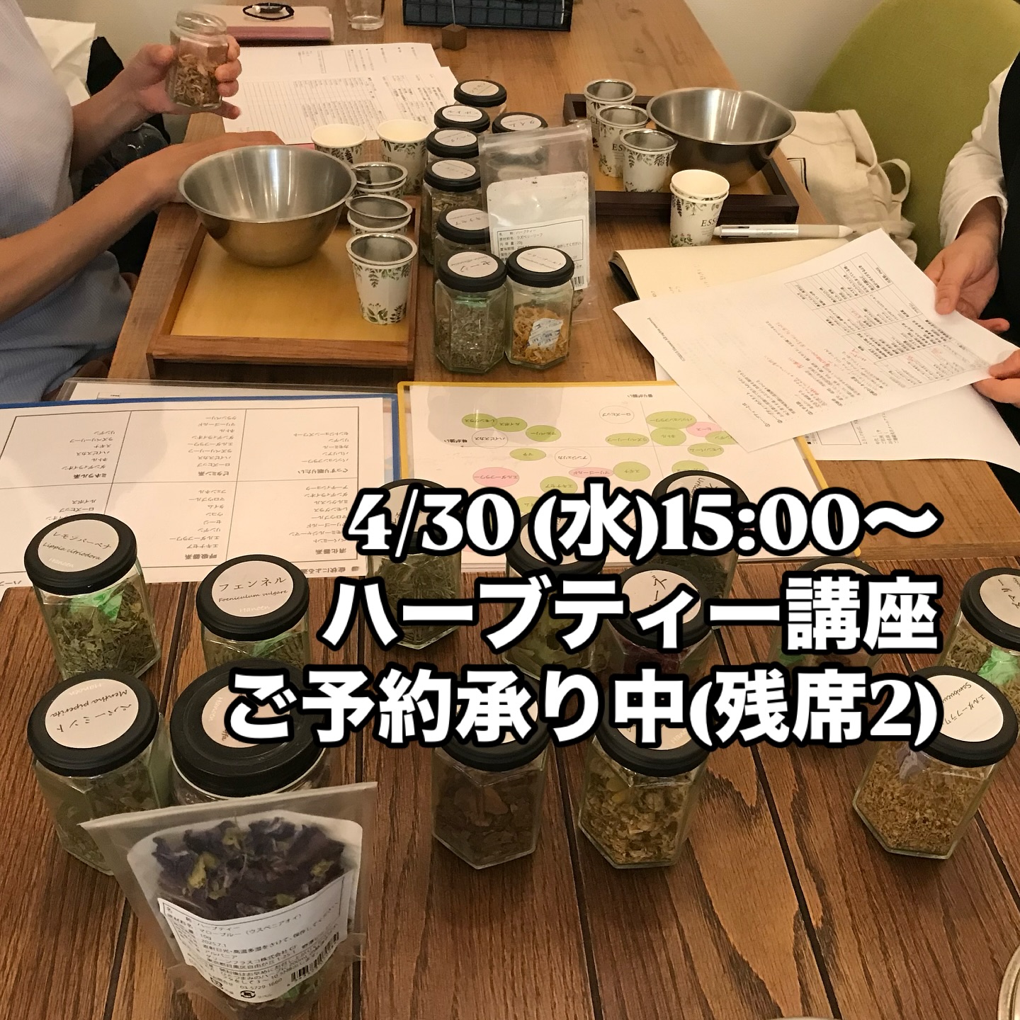 🗒️4/30 W 15:00〜4月ラストのハーブティー講座です。(5月もあります。毎月1回)約20種のシングルハーブひとつひとつを学び、ハーブティーの基本的な飲み方やブレンドのこつ、そしてオリジナルマイブレンドつくりまで、楽しく学びます。ご自身で作ったブレンドはお持ち帰りできます。一度この講座にご参加いただくと次回以降はお好きな日に例えばランチの後にサクッとお席でブレンドを作って購入することができます。ご自身のブレンドやご家族のためのハーブティーを気軽に作っていただける楽しみを是非体験しにいらしてください。講座は明後日ですが(いつも遅くてすみません)是非お時間ありましたら‍♀️お待ちしております♪