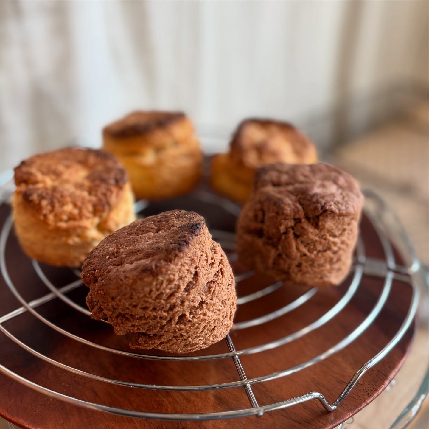 🥮ヴィーガンスコーンを久しぶりに焼きました。今週はプレーンココナッツ、オーガニックカカオです。ランチのミニデザートにもおつけできます。よろしくお願い致します