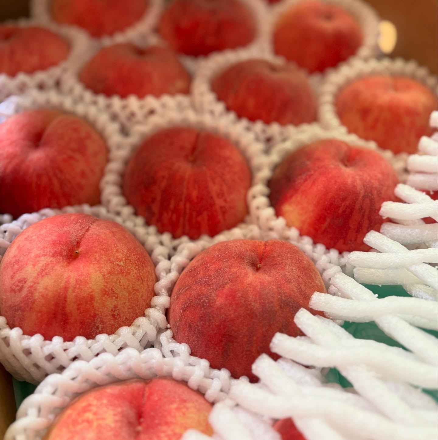 おはようございます桃が入荷しました。皇室宮家へ献上されてきた歴史ある桃として知られる伊達郡桑折町の桃は、私の昔の仕事仲間の農家さんから毎年送っていただいています。今年はいつもより早めのふくあかりです。桃パフェは明日か明後日くらいから。ミニデザートには今日から少しずつスタートです。数量限定で作りますのでご予約いただいた方がご用意がスムーズです。暑いところ歩いてきてくださるのに大変なので是非ともご連絡くださいませ。#桃