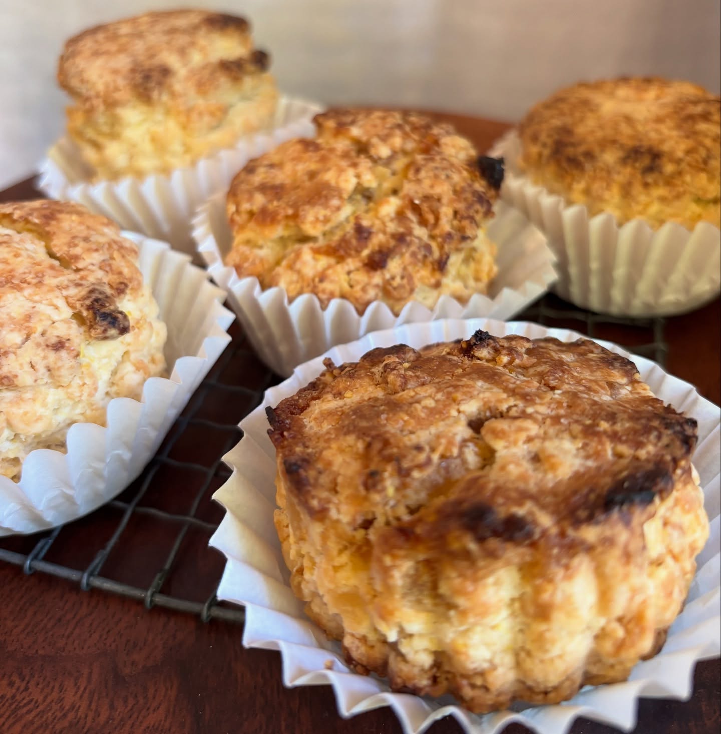 🥮涼しくなってきましたので、ヴィーガンスコーンを焼き始めました。今週はプレーンと国産橙ピールの2種その他キッシュやフォカッチャもテイクアウト出来ます。よろしくお願い致します