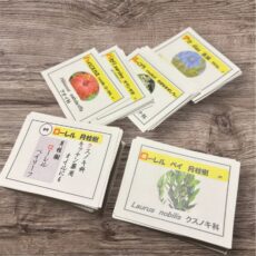 ハーブのカルタ